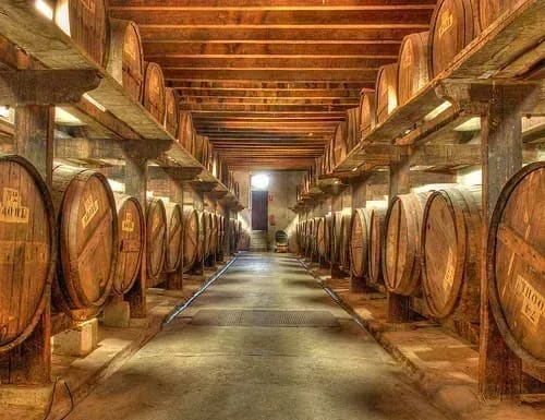 Wine Experience — Tour To Valencia