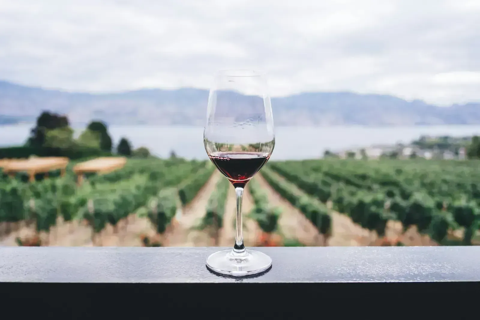 Wine Experience — Tour To Valencia