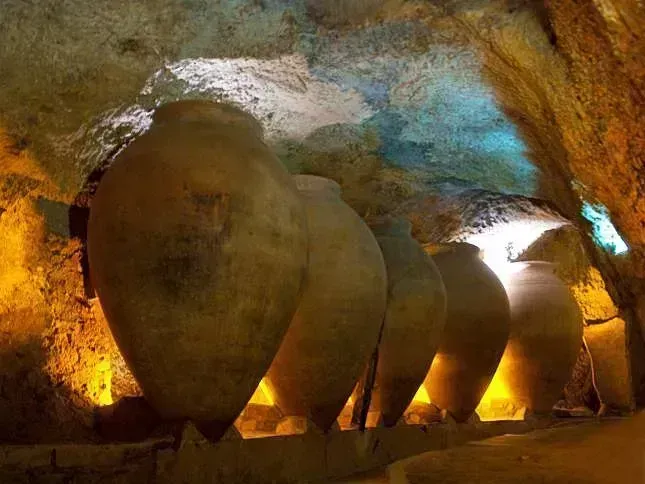 Wine Experience — Tour To Valencia